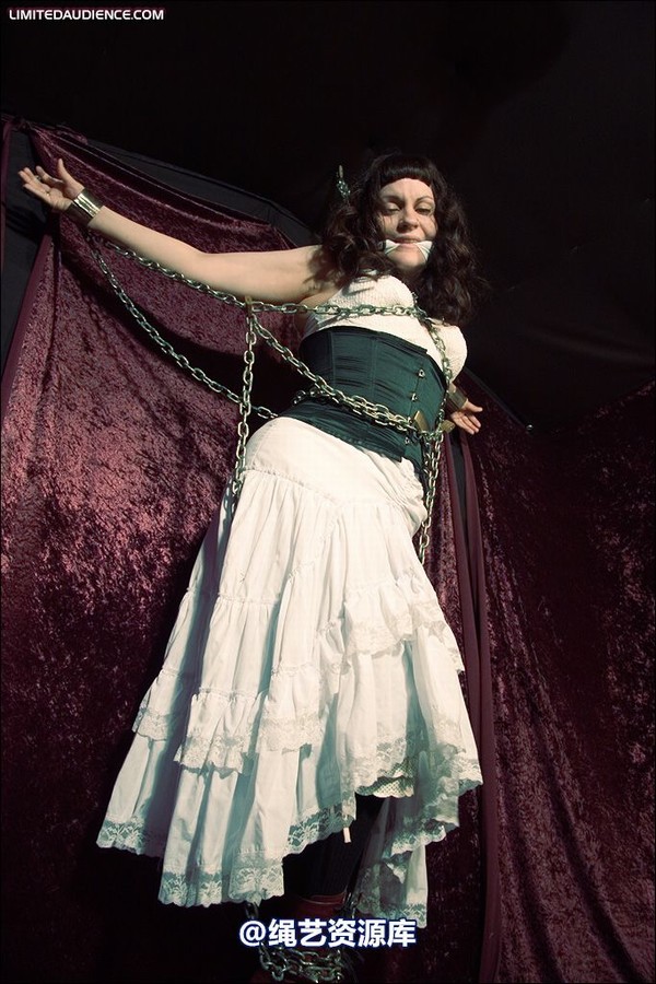 limitedaudience - 2008 veriddian chains on velvet 第 14 张图片