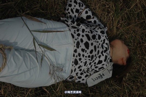 mj影视 - 血泪控诉刑场 第 311 张图片