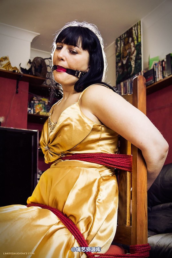 limitedaudience - 2013 dynamo golden satin 第 5 张图片