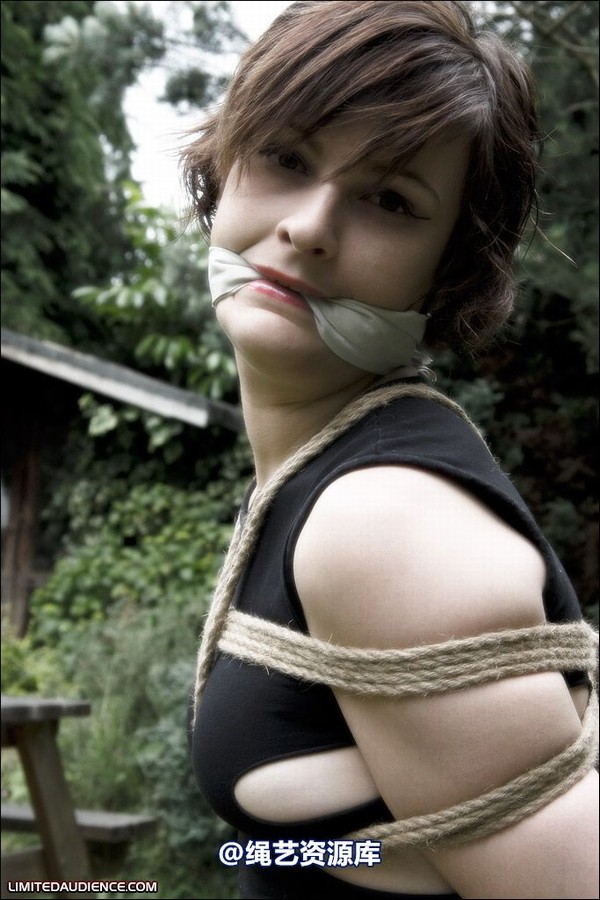 limitedaudience - 2008 ellie west bench bound wench 第 4 张图片
