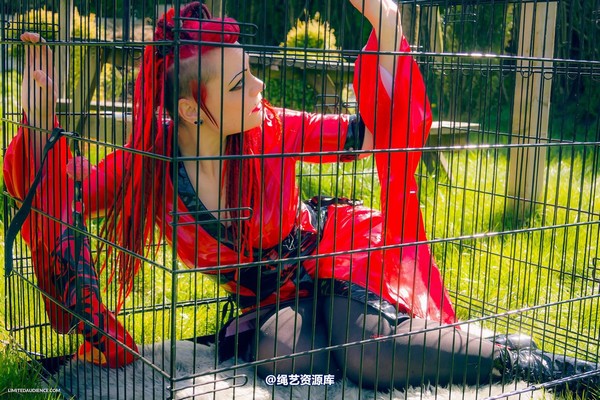 limitedaudience - 2015 raevan into the cage 第 18 张图片