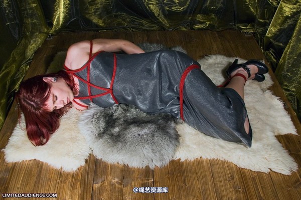 limitedaudience - 2010 scarlett hogtied on rugs 第 3 张图片