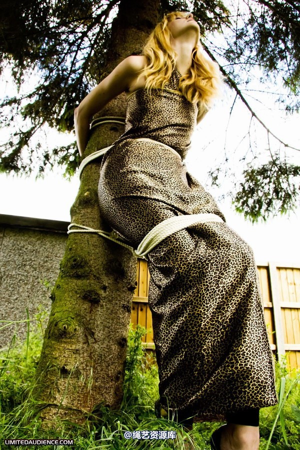 limitedaudience - 2011 ariel tied to a tree 第 5 张图片