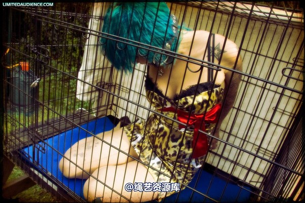 limitedaudience - 2009 b caged animal 第 22 张图片