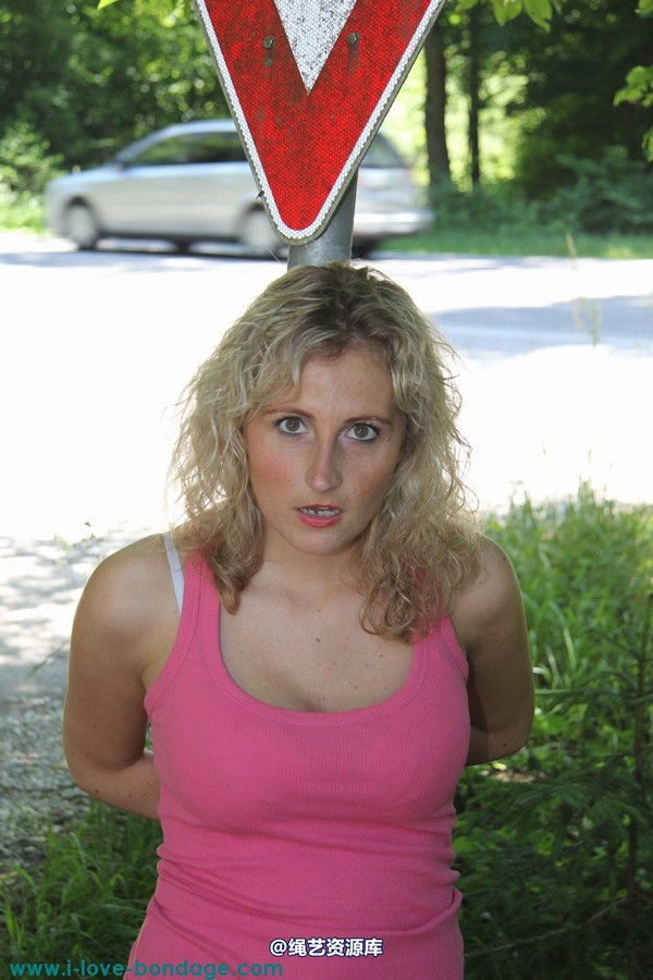 girlsinsteel - My traffic sign 第 45 张图片