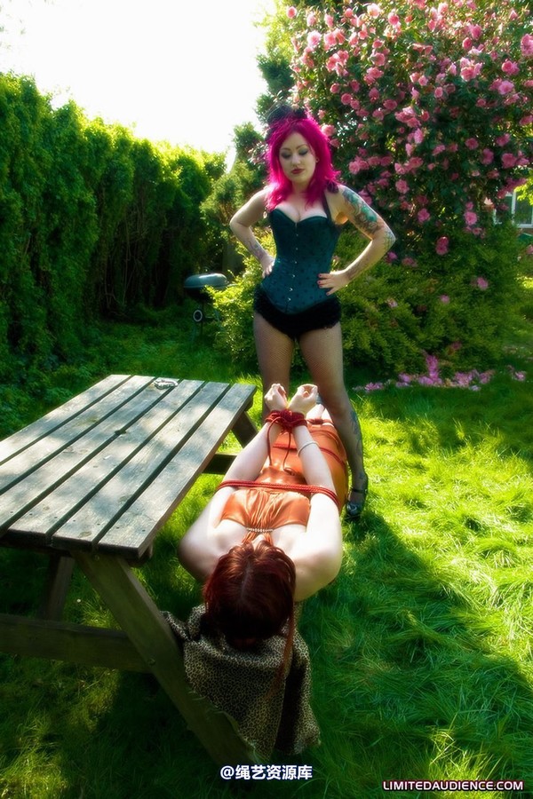limitedaudience - 2009 scarlett shrinking violet the trap is set 第 21 张图片