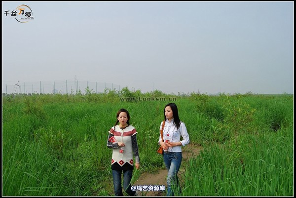 千丝万缕 - 2008-04-06日照片 第 14 张图片