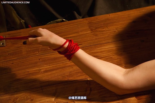limitedaudience - 2010 elyssia helpless after all 2 第 17 张图片