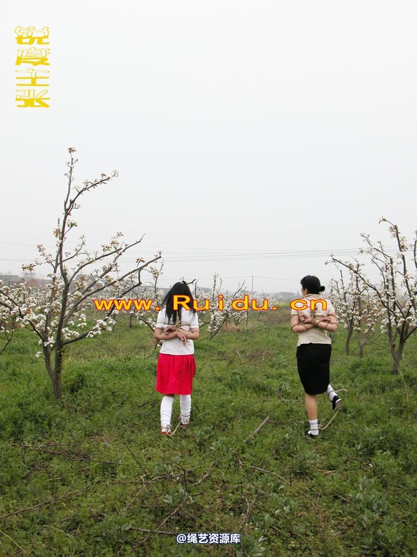 锐度主张 - 婷婷和寒冰梨花林中 第 10 张图片