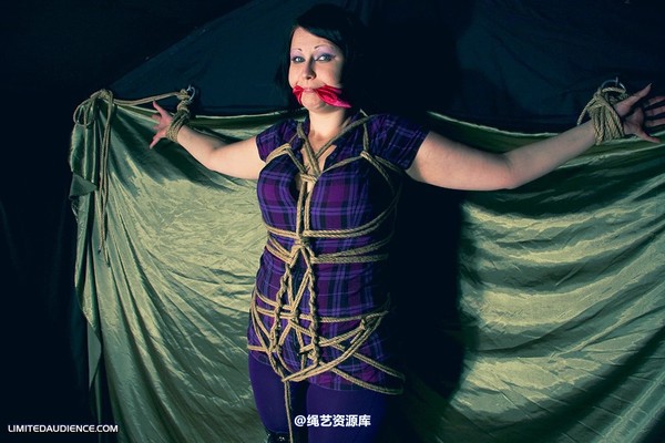 limitedaudience - 2010 deception bound tightly 2 第 19 张图片