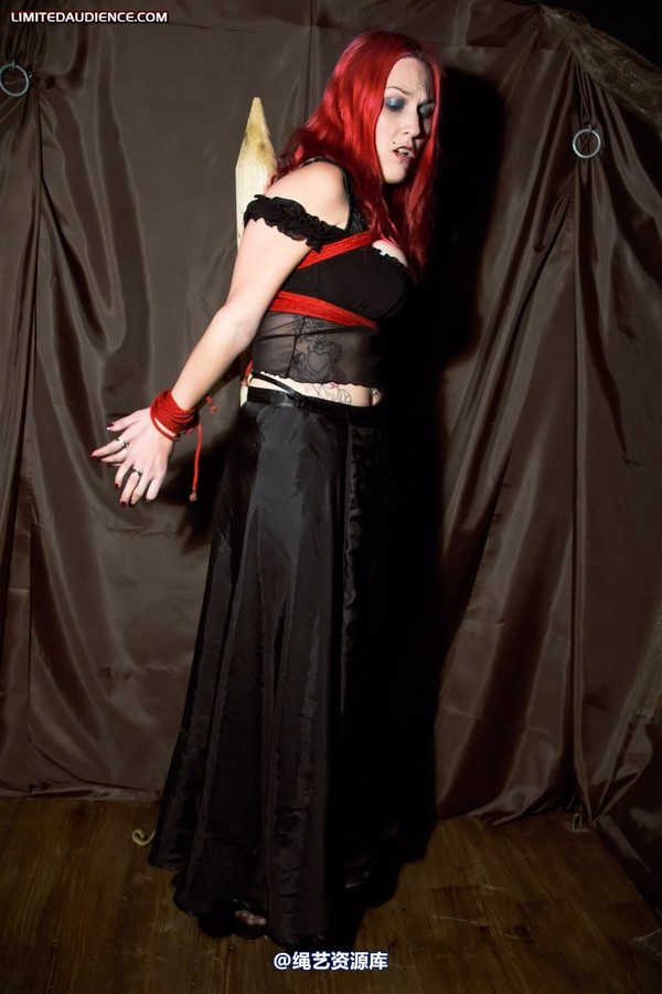 limitedaudience - 2011 elyssia bound to a pole 2 第 13 张图片