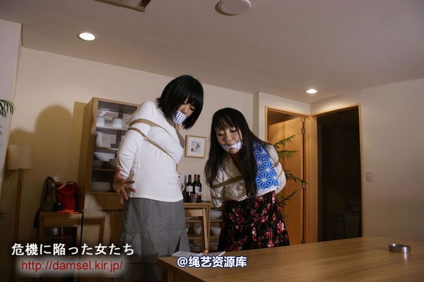 jpdamsel - 20120115 もし泥棒に�uわれたら 第 27 张图片