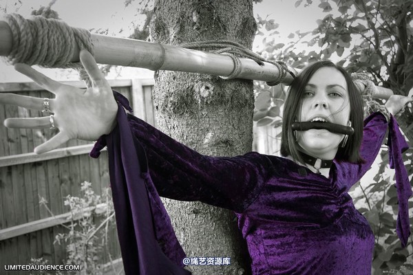 limitedaudience - 2011 carmina unwilling offering 2 第 18 张图片