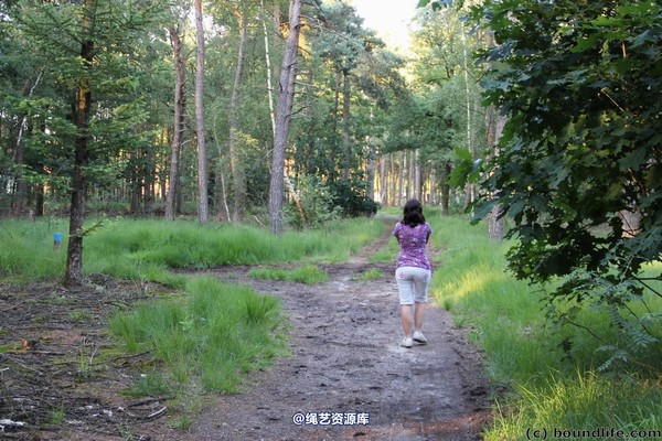boundlife - bl247 第 39 张图片