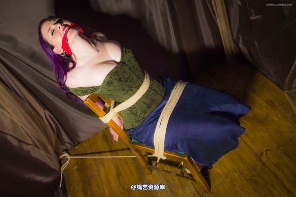 limitedaudience - 2014 caroline pierce captured damsel 第 26 张图片