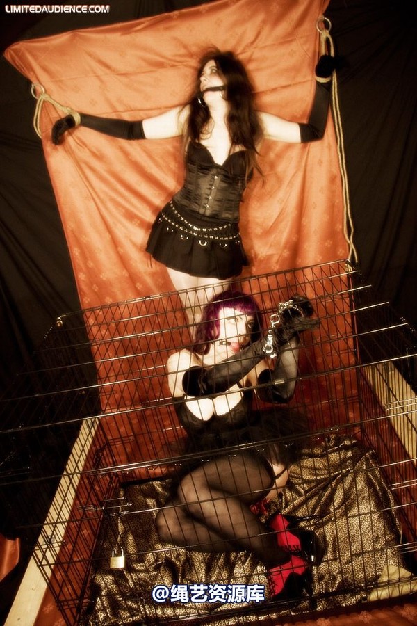 limitedaudience - 2009 catya raevan alptraum part iii 第 12 张图片