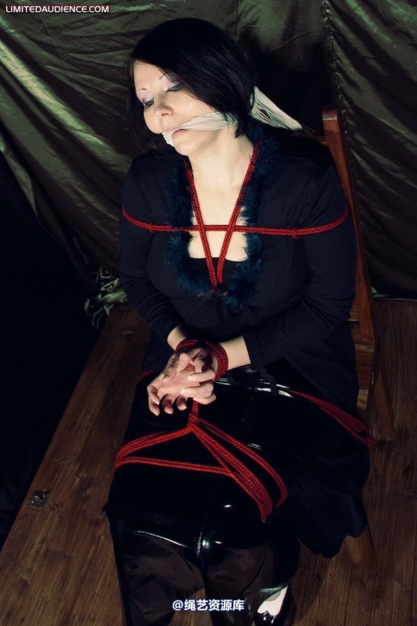 limitedaudience - 2010 deception helpless prisoner 2 第 12 张图片