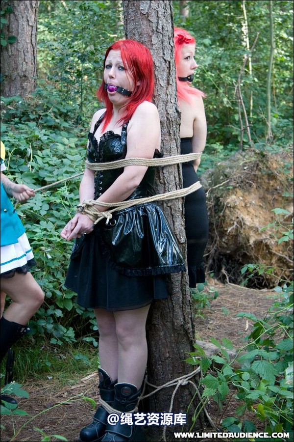 limitedaudience - 2007 asphyxia b nattsuko lost in the woods 第 51 张图片