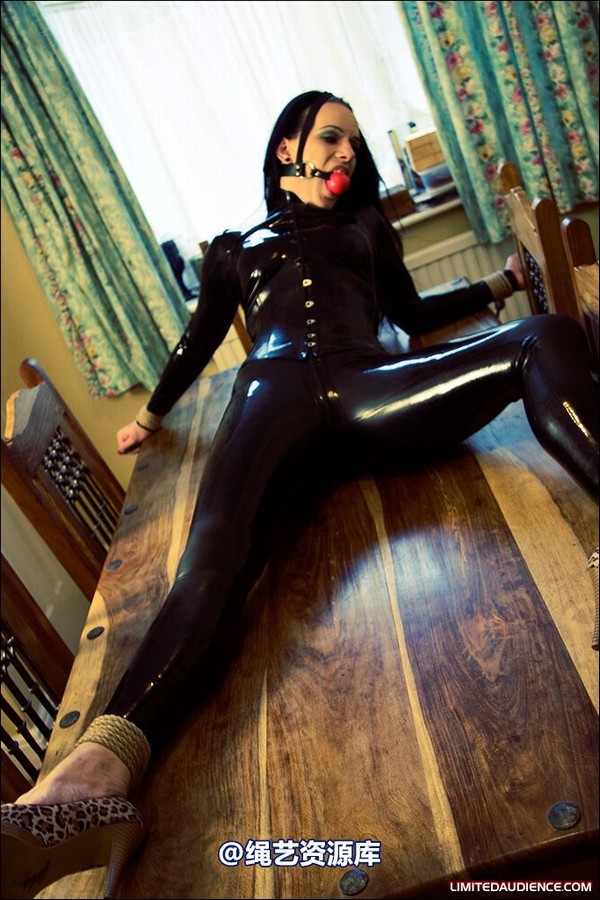 limitedaudience - 2008 rebekka raynor captured catburglar 2 第 16 张图片