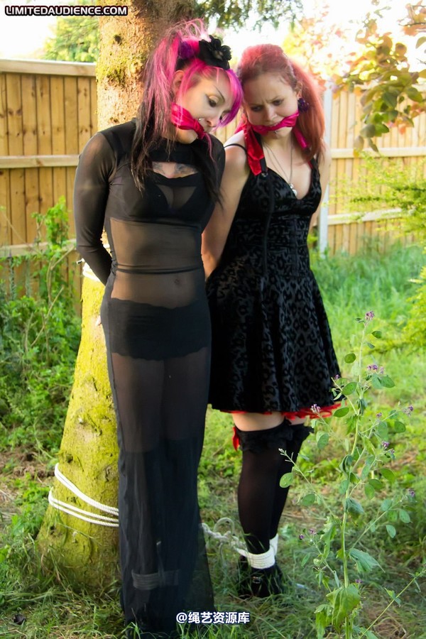 limitedaudience - 2011 beckykat loltaru moored to tree 2 第 31 张图片