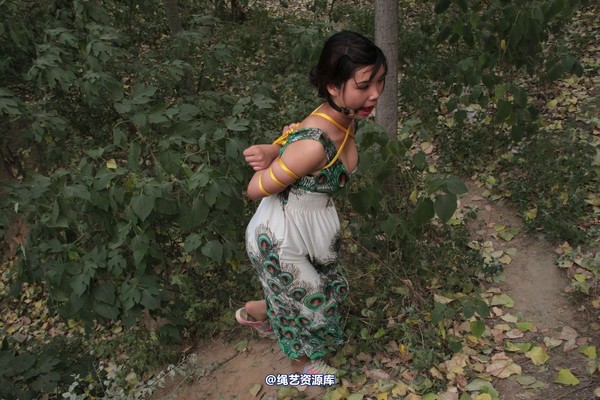 胜景山庄 - 275-山林绑着堵嘴狂跑 第 10 张图片