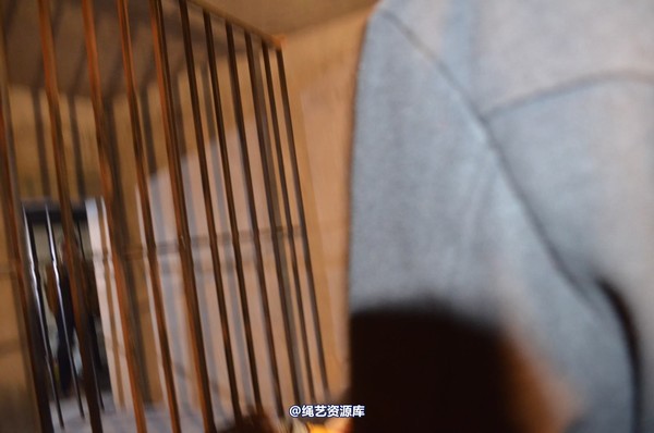 mj影视 - 一个记者的自白1 第 55 张图片