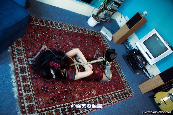 limitedaudience - 2008 andromedax hogtied 第 17 张图片