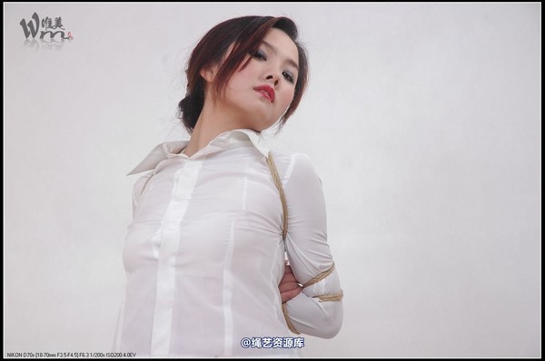 唯美之家 - 2008-11-3青竹无花 第 60 张图片