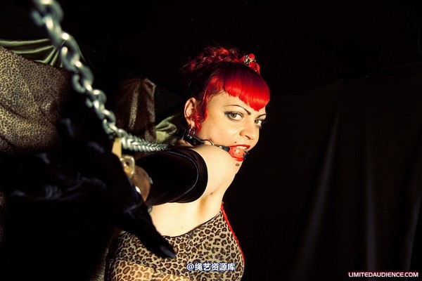 limitedaudience - 2010 raevan captured huntress 2 第 40 张图片