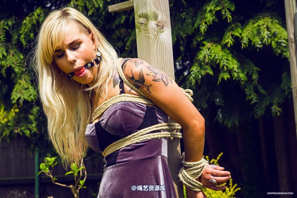 limitedaudience - 2015 altsiren tied to post 第 19 张图片
