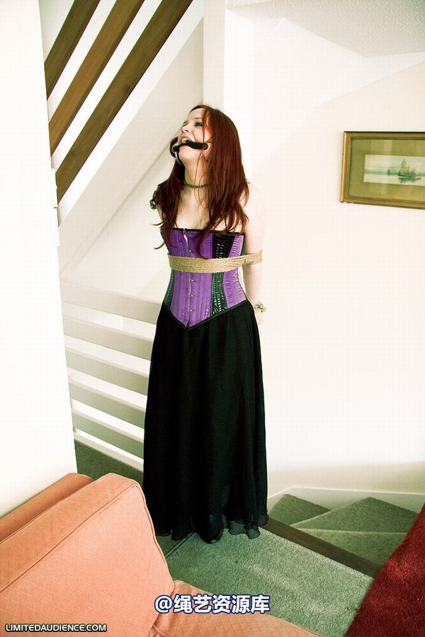 limitedaudience - 2009 brede the party slave two part 2 第 29 张图片