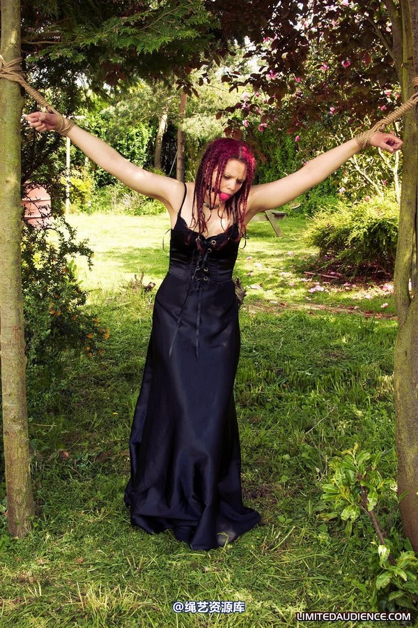 limitedaudience - 2011 beckykat between trees 2 第 22 张图片