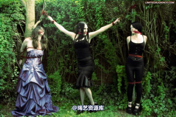 limitedaudience - 2009 catya elyssia lolly pleasure reserves 2 第 3 张图片