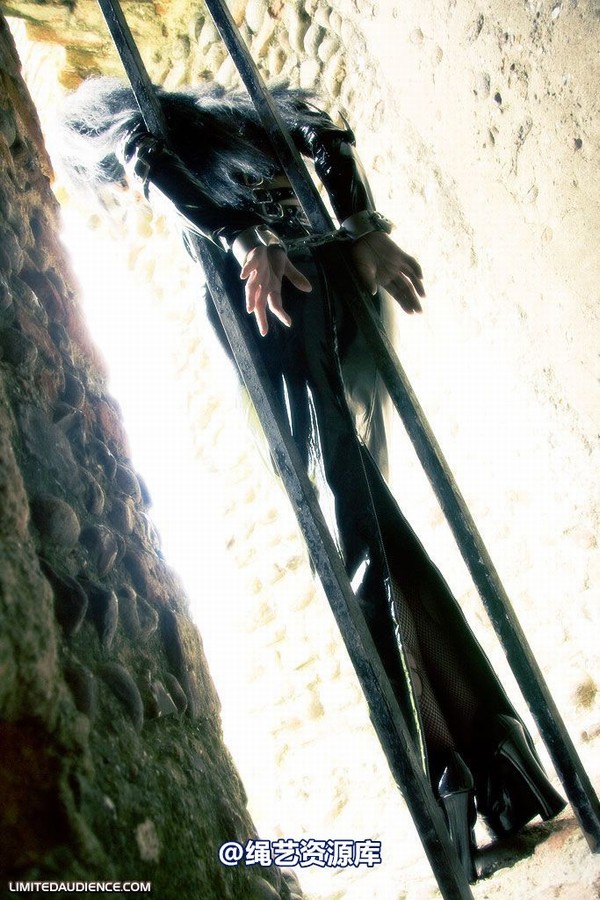limitedaudience - 2008 andromedax damsel in distress 第 40 张图片