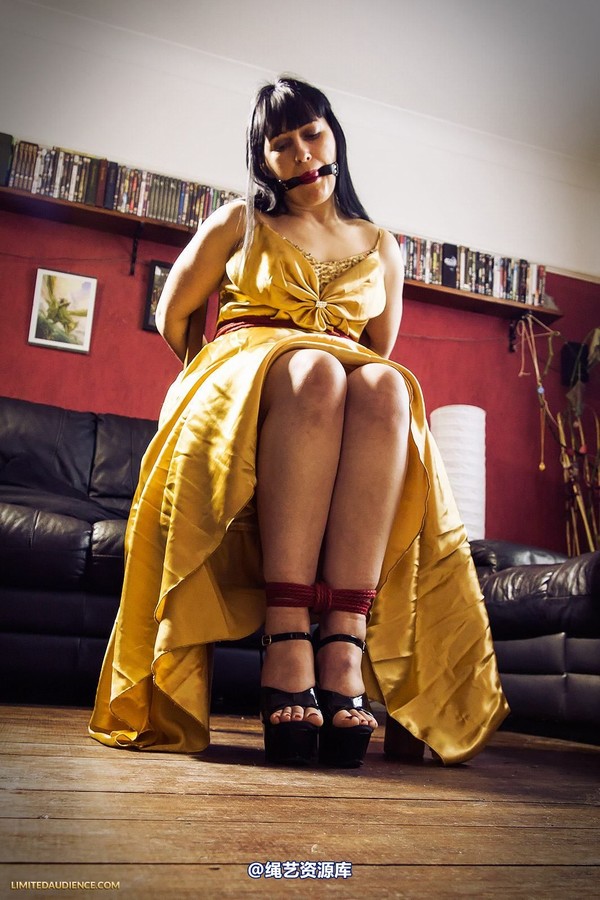 limitedaudience - 2013 dynamo golden satin 第 31 张图片