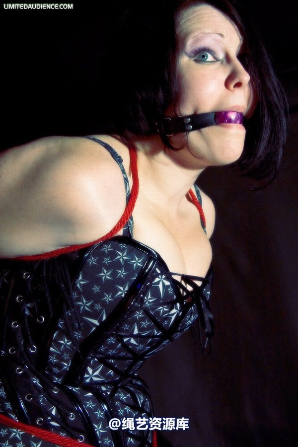 limitedaudience - 2009 deception a painful wait 第 26 张图片
