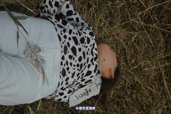 mj影视 - 血泪控诉刑场 第 336 张图片