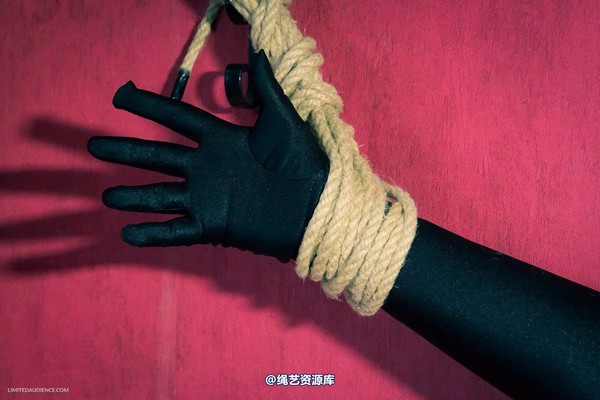 limitedaudience - 2013 dynamo incredulous captive 第 32 张图片