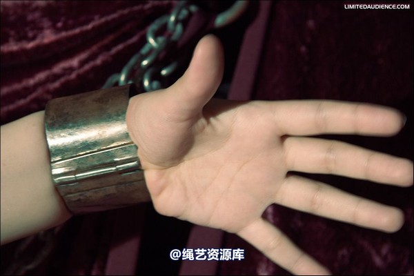 limitedaudience - 2008 veriddian chains on velvet 第 33 张图片