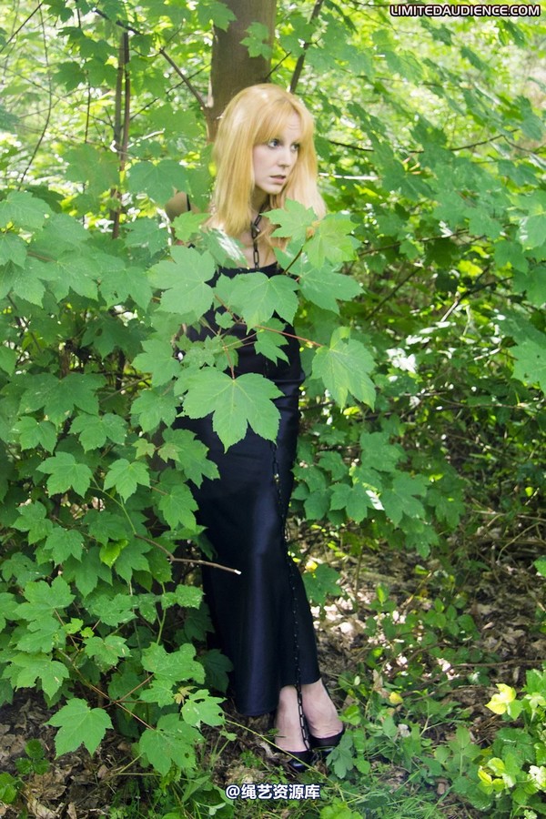 limitedaudience - 2011 ariel chained in the forest 第 17 张图片