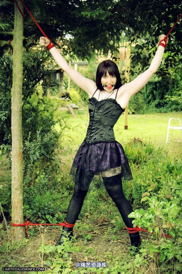 limitedaudience - 2011 syrah lee helpless outdoors 第 34 张图片