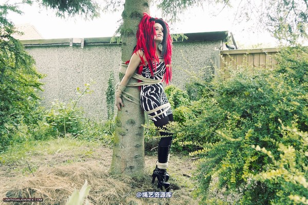 limitedaudience - 2012 andromedax bound to a tree 2 第 35 张图片