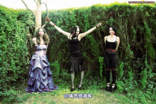 limitedaudience - 2009 catya elyssia lolly pleasure reserves 2 第 12 张图片