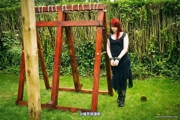 limitedaudience - 2012 syrah lee by the cross 第 2 张图片