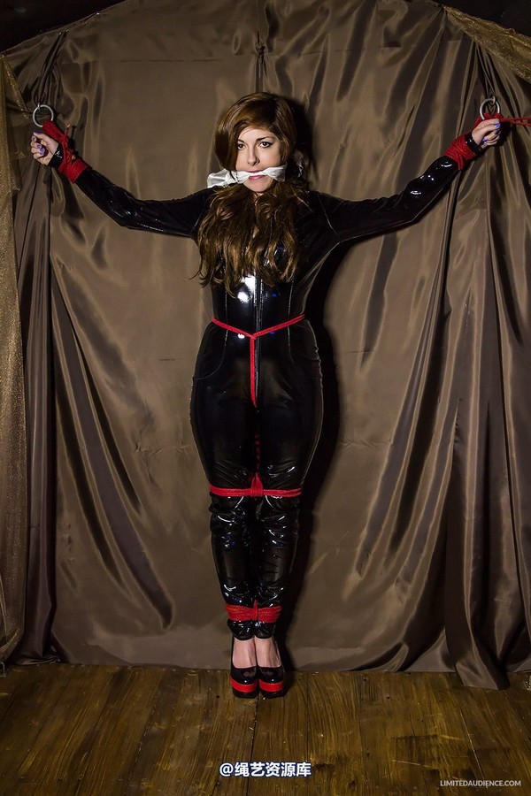 limitedaudience - 2014 trisha captured catburglar 第 1 张图片