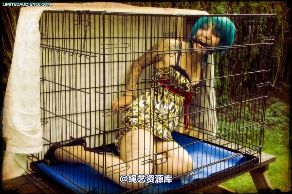limitedaudience - 2009 b caged animal 第 31 张图片