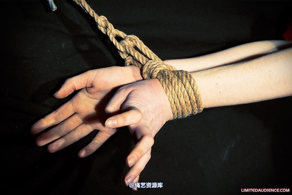 limitedaudience - 2010 catya lex eleven in the dungeon 2 第 20 张图片