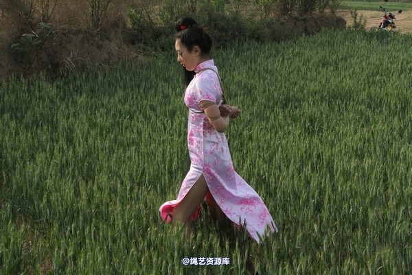 胜景山庄 - 151-麦田绳缚 第 5 张图片