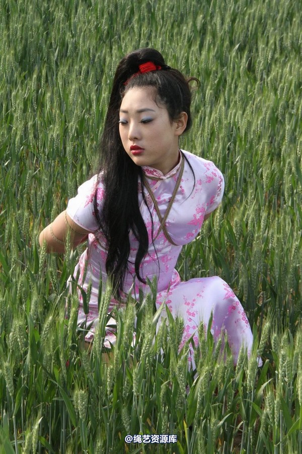 胜景山庄 - 151-麦田绳缚 第 14 张图片