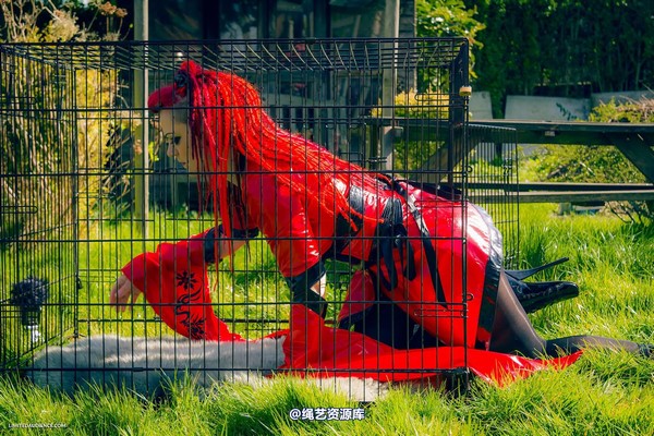 limitedaudience - 2015 raevan into the cage 第 30 张图片